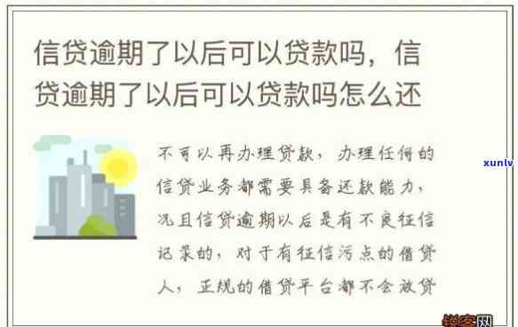 中国借贷逾期青年人能贷款吗，中国青年人借款逾期后，能否再次获得贷款？