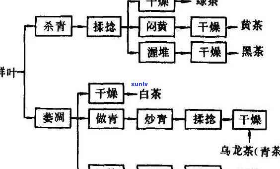 茶叶加工是第几产业的？作用、所属与行业分类全解析