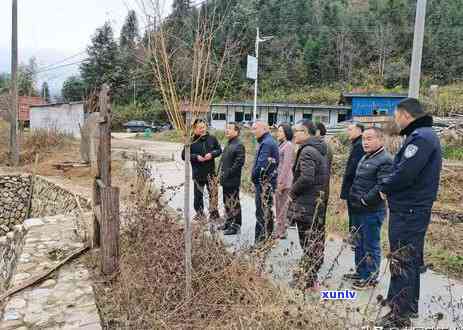 武夷山茶叶生产企业-武夷山茶叶生产企业多少家