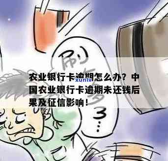 农业银行卡还贷逾期-农业银行卡还贷逾期怎么办