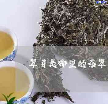 翠芽茶叶需要冷藏吗-翠芽茶叶需要冷藏吗多久