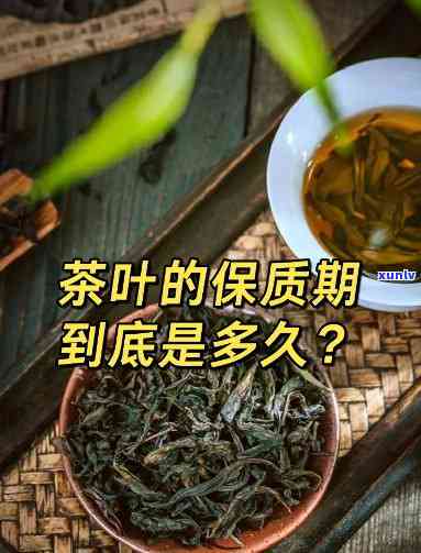 一包茶叶泡几次水？次数、量与保质期全解析！