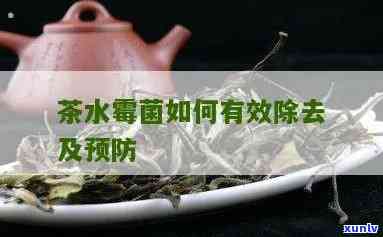 茶水能杀死真菌吗？百度百科告诉你原因