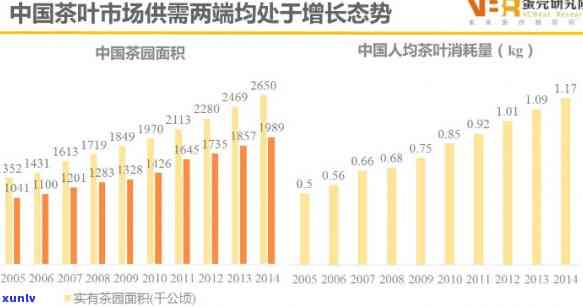 中国人均茶叶，探究中国茶文化的深度：人均茶叶消费量的演变与趋势