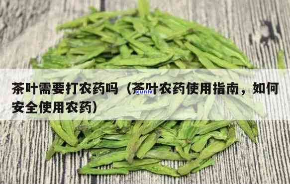 茶叶一年打几次农药-茶叶一年打几次农药