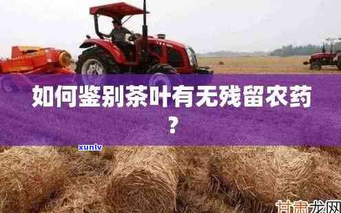 如何分辨茶叶打农药的真假，茶叶中的农药残留：如何辨别真伪？