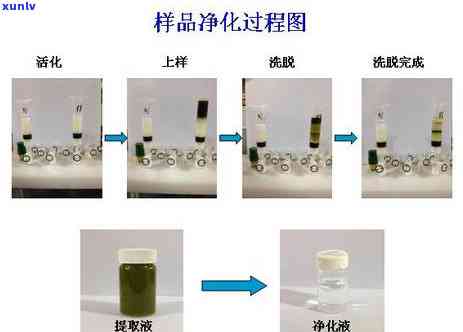 如何分辨茶叶是否打过农药？全面解析茶叶农药残留检测 *** 