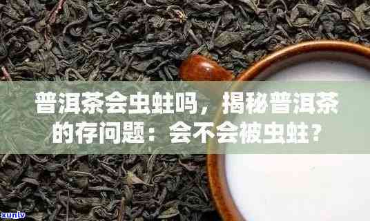 茶叶生虫用什么药？如何防治及处理，安全食用有保障！