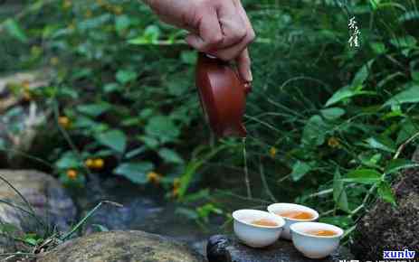 普洱茶的辣程度：属于辣食物吗？同时探讨其口感、功效及饮用注意事项。