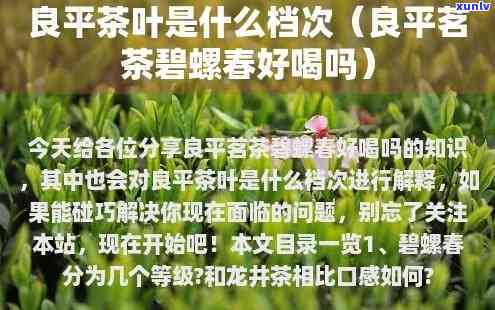 良平茶叶是什么档次的，探秘良平茶叶：揭秘其档次与品质特点