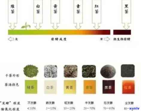 茶叶色评比主要从哪些方面，解析茶叶色评比的关键因素