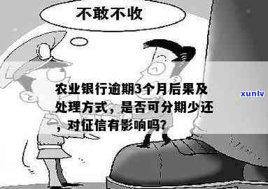 农业信用逾期三个月会产生什么结果？能否实施分期还款？