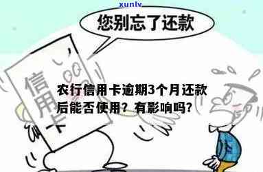 阿拉善珠子怎么配好看，搭配攻略：如何将阿拉善珠子戴出时尚感？