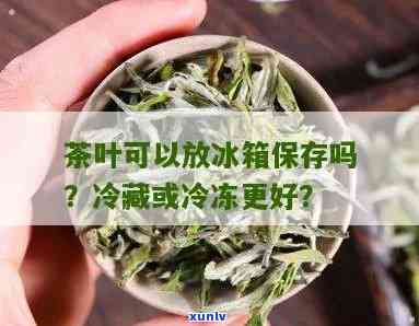 茶叶能否放冰箱保存-茶叶能否放冰箱保存时间长