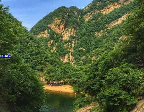 浉河港茶山图片，美丽信阳浉河港，茶山景色如画！