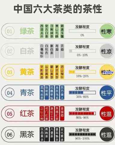 全面了解茶叶：从基础知识到文化探究