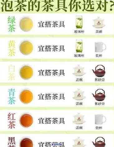 泡茶茶杯买多大合适？选择容量需考虑茶量、喜好及方便性