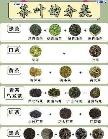 什么品种茶叶香味大又好喝，寻找好喝的茶叶？试试这些香味浓的品种！