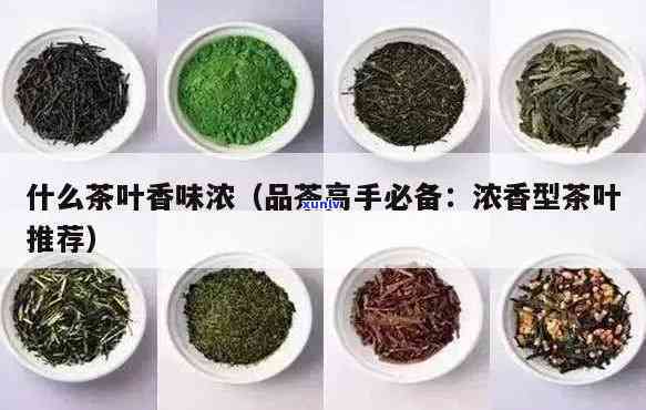 什么品种茶叶香味大好喝？比较各类茶叶的香气和口感