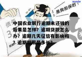 农业银行有逾期的吗？怎么办？信用卡、贷款、结果全解析！