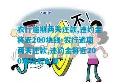 农业银行逾期违约金图片：农行逾期两天还款，违约金近200元，计算公式详析