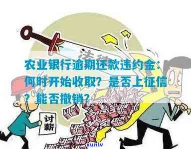 农业银行逾期还款违约金：是不是上、何时开始收取、能否撤销、只还更低利息怎样计算及金额是多少？