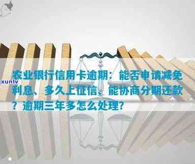 农业银行信用币逾期：能否再借、利息减免与分期还款协商？结果详解