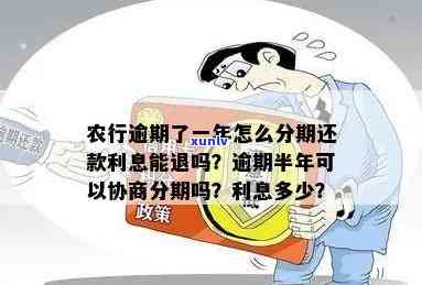 农业银行信用币逾期：能否再借、利息减免与分期还款协商？结果详解