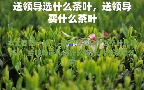 怎样挑选茶叶送领导-怎样挑选茶叶送领导喝