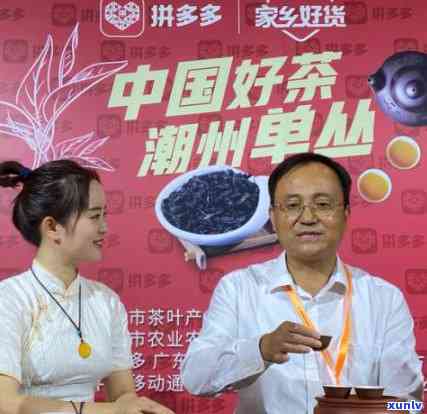 潮州工夫茶起源，探究千年古韵：潮州工夫茶的起源与演变