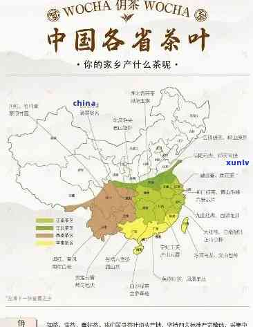 中国更大的茶叶产地在哪里，揭秘：中国更大的茶叶产地究竟在哪里？