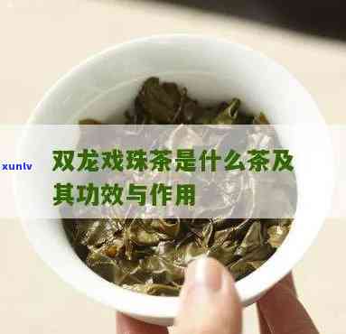 双龙戏珠茶叶的产地-双龙戏珠茶叶产地是哪里