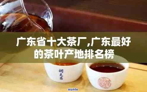 广东哪里产茶叶，广东的茶叶产地在哪里？