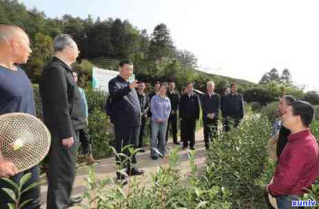 燕子窠茶叶示基地-燕子窠茶叶示基地在哪