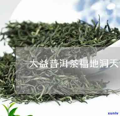 洞天福地普洱茶价格，探秘洞天福地：普洱茶价格全解析