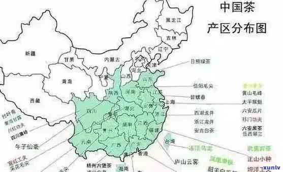 中国茶叶排名及产地是哪里，揭秘中国茶叶排名与产地，一文带你了解全国更优质的茶产区！