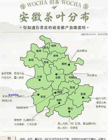 安徽茶叶排行榜产地有哪些，探秘安徽茶叶：揭秘排行榜上备受瞩目的茶叶产地！