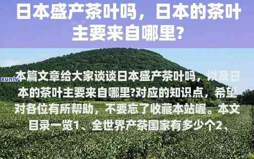 之一大茶叶产地是，揭秘茶叶之最：之一大茶叶产地究竟在哪里？