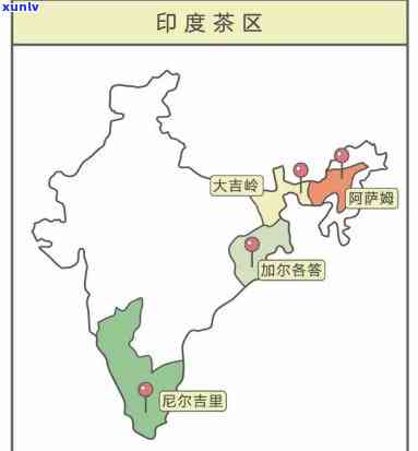 三大茶叶产地：揭示其位置与特色