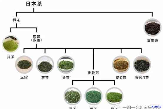 茶叶产区，探索的茶叶产区：品味独特的茶香和文化