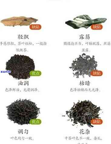 茶叶卷成一颗一颗的-茶叶卷成一颗一颗的是什么茶