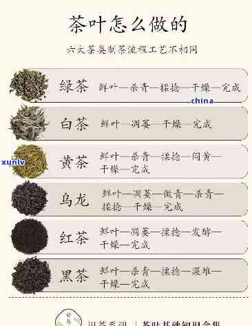 茶叶卷成一颗一颗的-茶叶卷成一颗一颗的是什么茶