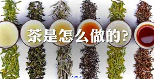 茶叶是由什么制成的，揭秘茶叶的 *** 过程：从采摘到泡茶，了解茶叶的来源与工艺