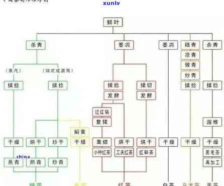 茶叶是怎么组成的？深入了解茶叶构成、形成过程与 ***  *** ！