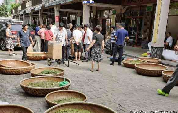 水卖茶叶的街叫什么？探寻茶叶购买地！