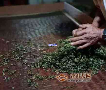 茶叶揉捻的主要目的-茶叶揉捻的主要目的是什么