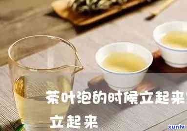 茶叶泡出来是立着的-茶叶泡出来是立着的是什么茶