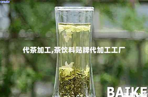 哪里有外加工茶叶的-哪里有茶叶代加工厂家