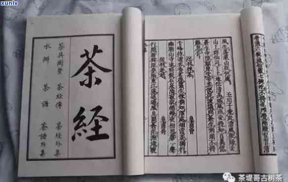 中国之一部茶叶专著的作者是谁？——揭示我国古代茶文化的瑰宝《茶经》的作者