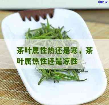 茶叶是凉的还是热性，揭秘茶叶：它是凉性的还是热性的？